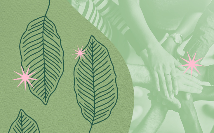 Discussão aborda os riscos do novo licenciamento ambiental para o setor produtivo e o avanço da equidade de gênero no setor público